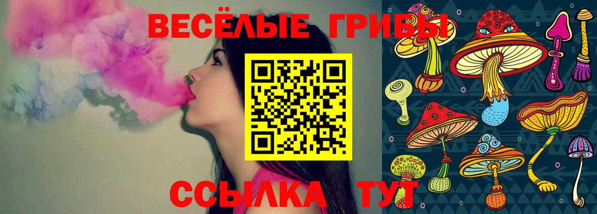 Галлюциногенные грибы MAGIC MUSHROOMS  Вход с VPN  купить наркотики сайты  Верхний Уфалей 