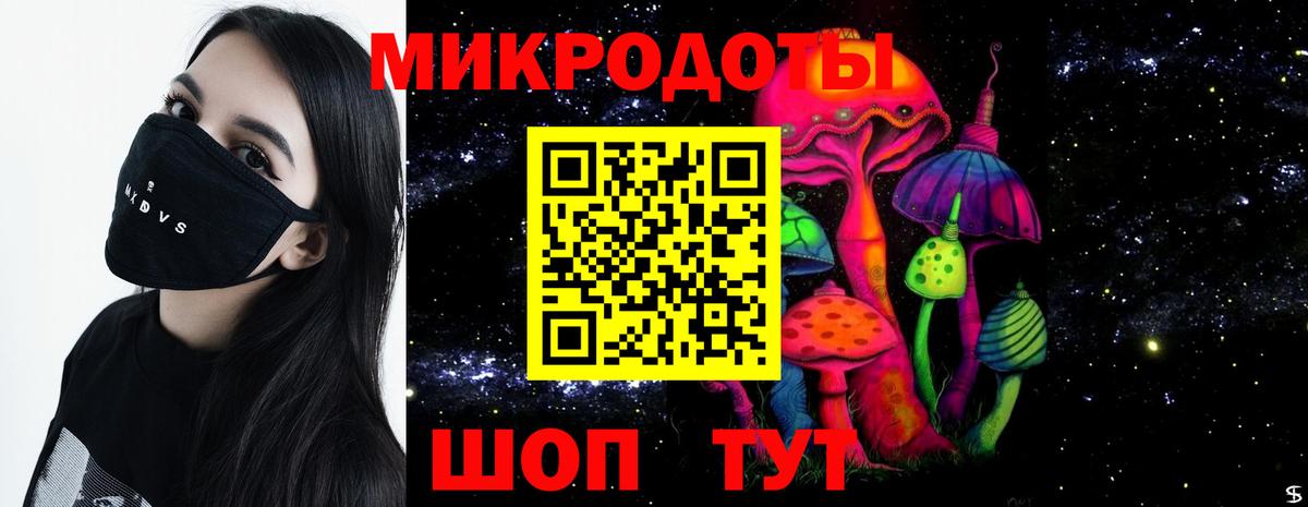 Псилоцибиновые грибы Cubensis Верхний Уфалей